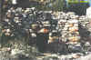 ruins1.jpg (69381 bytes)